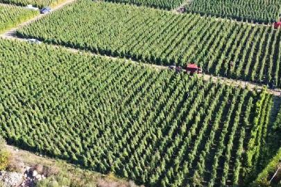 Tarımsal destekleme ödemesi bugün yapılacak