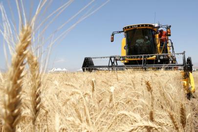 Türk hububatçılardan ilk çeyrekte 2,8 milyar dolarlık ihracat