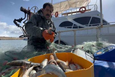 Van Gölü’nde inci kefali için av yasağı: Kaçak avlanmanın cezası 16 bin TL