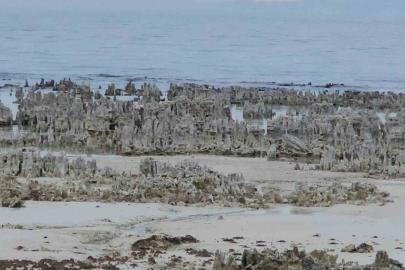 Van Gölü’nde kuraklık alarmı: Adilcevaz sahilinde mikrobiyalitler gün yüzüne çıktı
