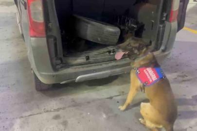 Bagaj ve kaputa gizlenen uyuşturucuyu narkotik köpeği ‘Ayar’ buldu