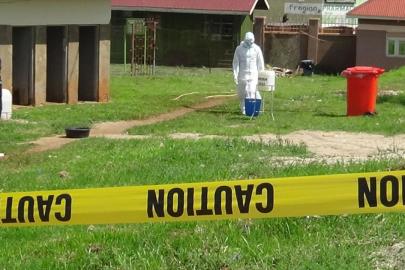 DSÖ alarm verdi: Ebola salgını küresel halk sağlığı acil durumu ilan edildi