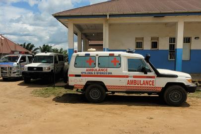 Ebola salgını. 10 Afrika ülkesi risk altında