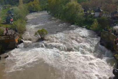 İnci kefalinin göç yolculuğunu görmeye gelenler eli boş ayrıldı