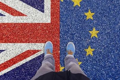 İngiltere'de Brexit yeniden tartışılıyor: AB'ye kim dönmek istiyor?