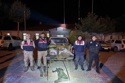 Muradiye’de 630 kilo inci kefali ele geçirildi