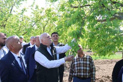 TZOB Genel Başkanı Bayraktar: "Iğdır’daki kayısı bahçelerimiz dondan zarar gördü"