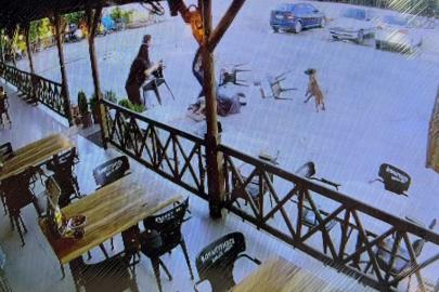 Dinlenme tesisinde can pazarı. Tekmelere aldırmayan köpek kadının kolunu kopardı