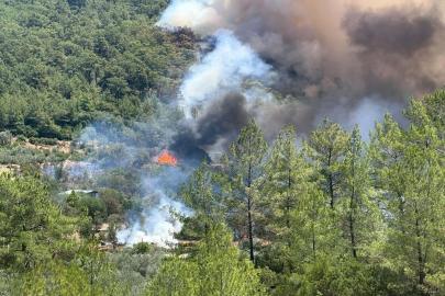 Afyonkarahisar, Muğla ve Antalya'da orman yangını. Ekipler sevk edildi