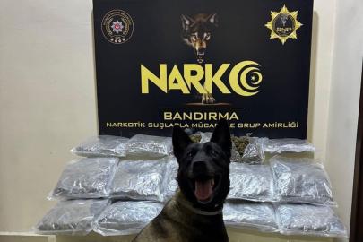 Balıkesir'de uyuşturucu operasyonu: 11 kilogram skunk ele geçirildi