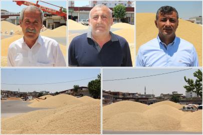 Buğday piyasası kilitlendi: Üretici ve tüccardan TMO'ya "ÇKS" çağrısı