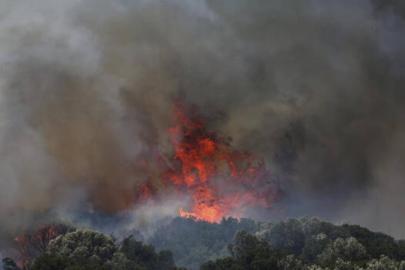 Muğla'da orman yangını