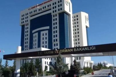Tarım ve Orman Bakanlığı bin 874 sözleşmeli personel alacak