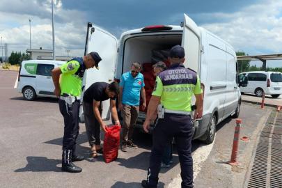 Yalova'da 3 ton kara midyesi ele geçirildi