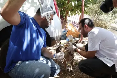 Antalya Büyükşehir yaraları sarmak için yangın bölgesinde