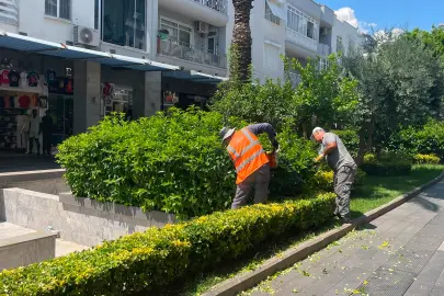Antalya Büyükşehir’den Kemer’e çevre düzenleme