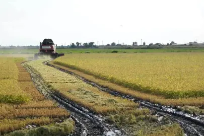 İpsala’da 2026 çeltik sezonu dualarla açıldı