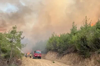 Yeşil Vatan'ı korumaya devam! O yangınlarda 3 ayda 69 şüpheliden 15'i tutuklandı