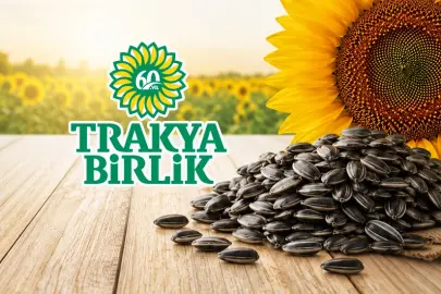 Trakya Birlik, ayçiçeğinde ön alım fiyatını açıkladı